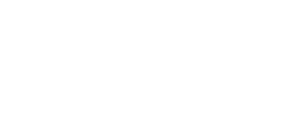 Drupal Developer